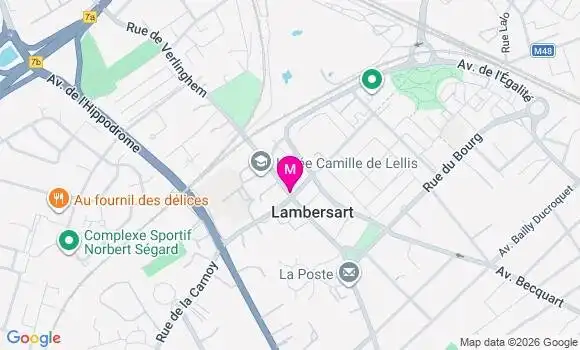 Localisation Mtre Delpal Pierre