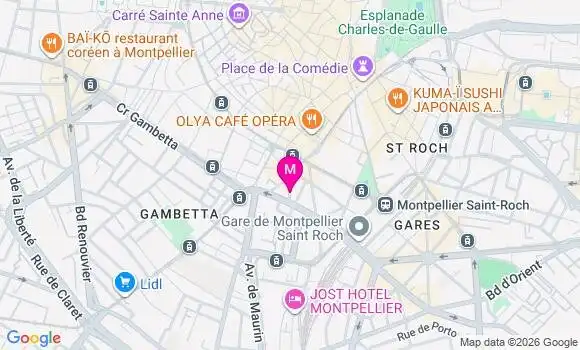 Localisation Mtre Larbre David