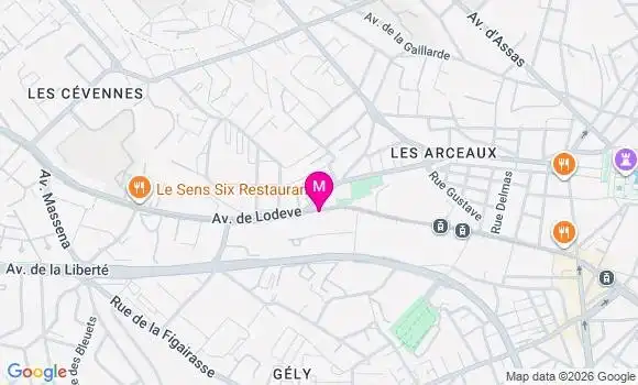 Localisation Mtre Saeid Nia Jasmine