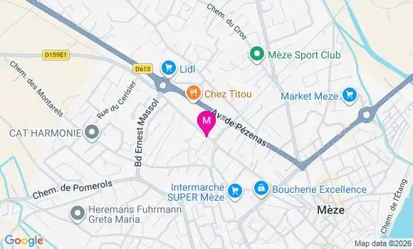 Localisation Mtre Merle Robin