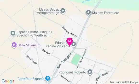 Localisation Carrefour Express - 67500