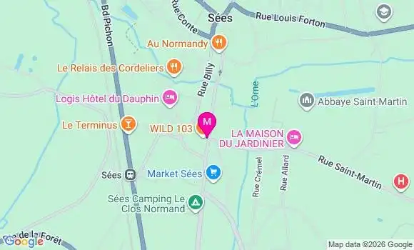 Localisation Carrefour Market - 61500