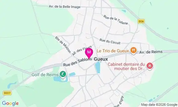 Localisation Carrefour - 51390