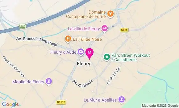 Localisation Fleury - 11560