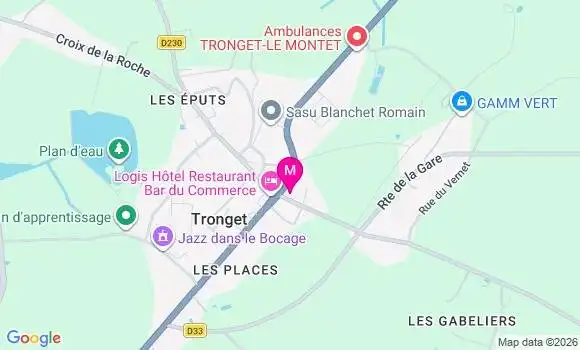 Localisation Tronget - 03240