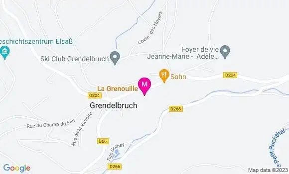 Localisation Restaurant  La Grenouille