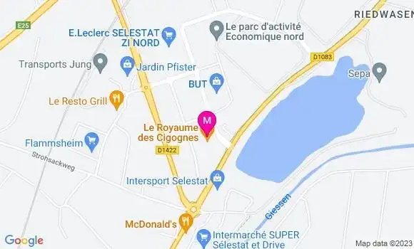 Localisation Restaurant Asiatique Le Royaume des Cigognes