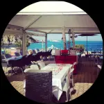 Chez Camille